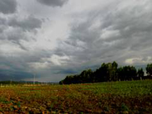 ������ӿ