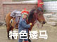 [丰宁]儿童马术俱乐部