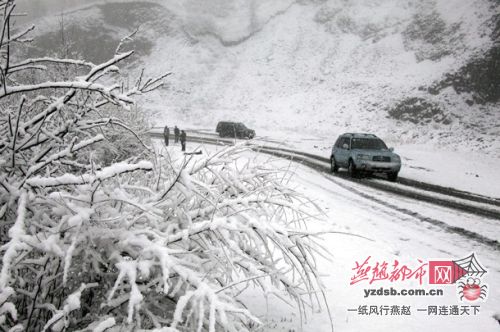 塞罕坝飘雪