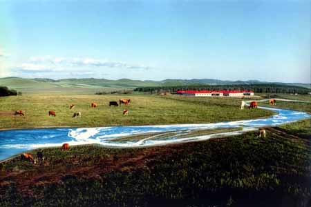 御道口草原森林风景区